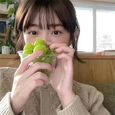 羊与钢之森